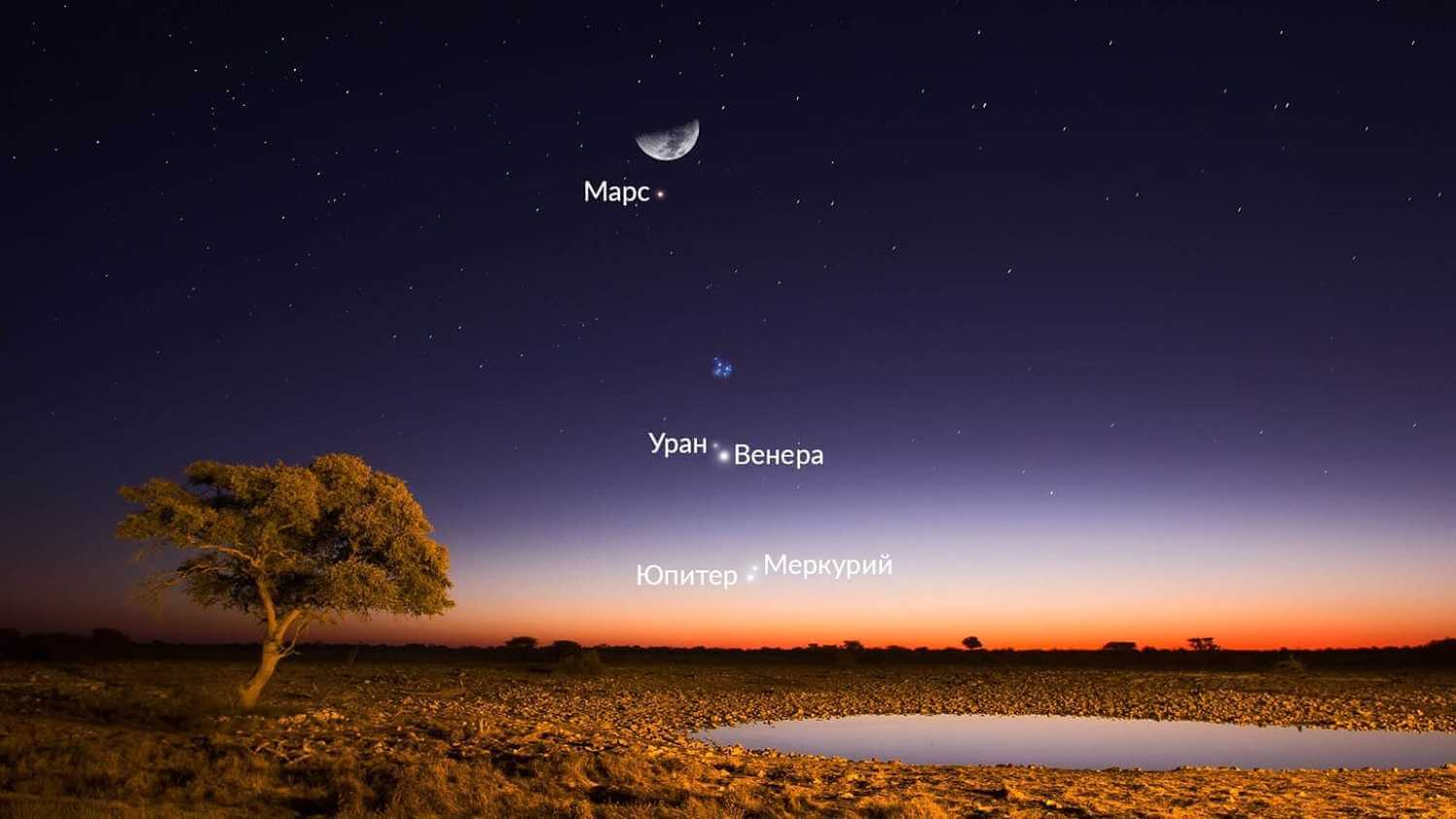 Семь раз на тысячу лет: 28 марта белорусы увидят уникальное астрономическое явление