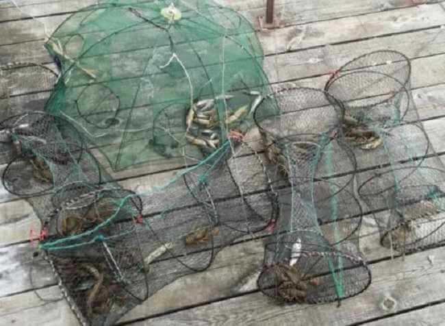 Браконьер-рыболов нанес вред природе почти на 19 тыс рублей в Бобруйском районе