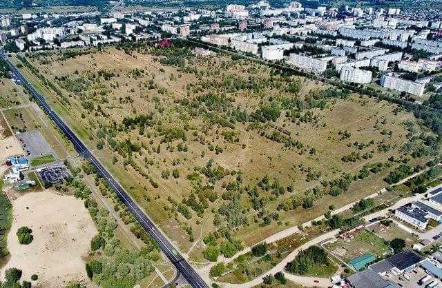 Могилев: почему не растут деревья в  парке им.60-летия Великого Октября