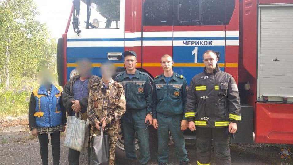 Три человека заблудились в лесу Чериковского района