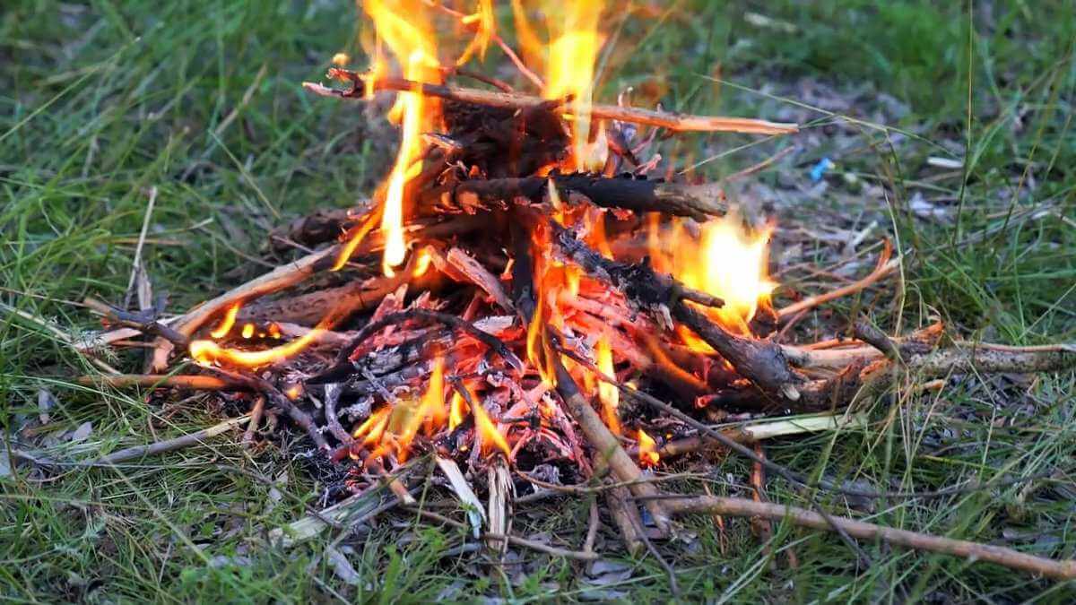 Пенсионер получил ожоги из-за костра на даче в Могилевской области