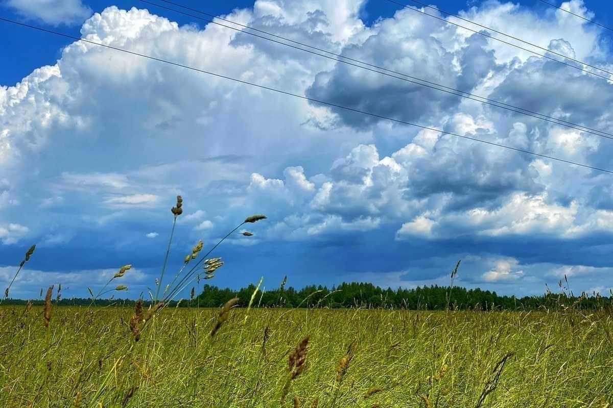 Исторические метеорекорды  за  4 июня по Беларуси