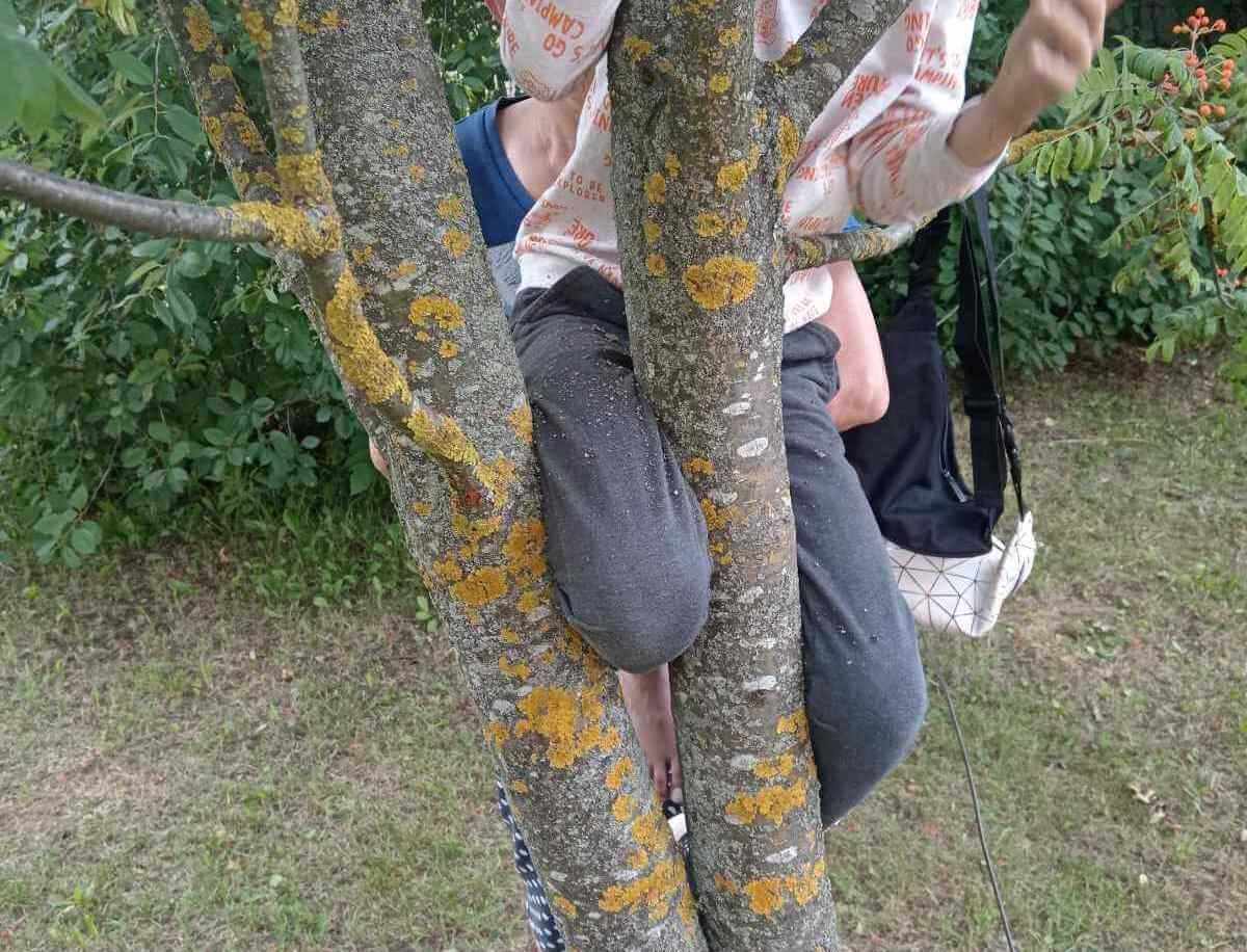 Спасатели Могилева освободили мальчика: нога застряла в дереве