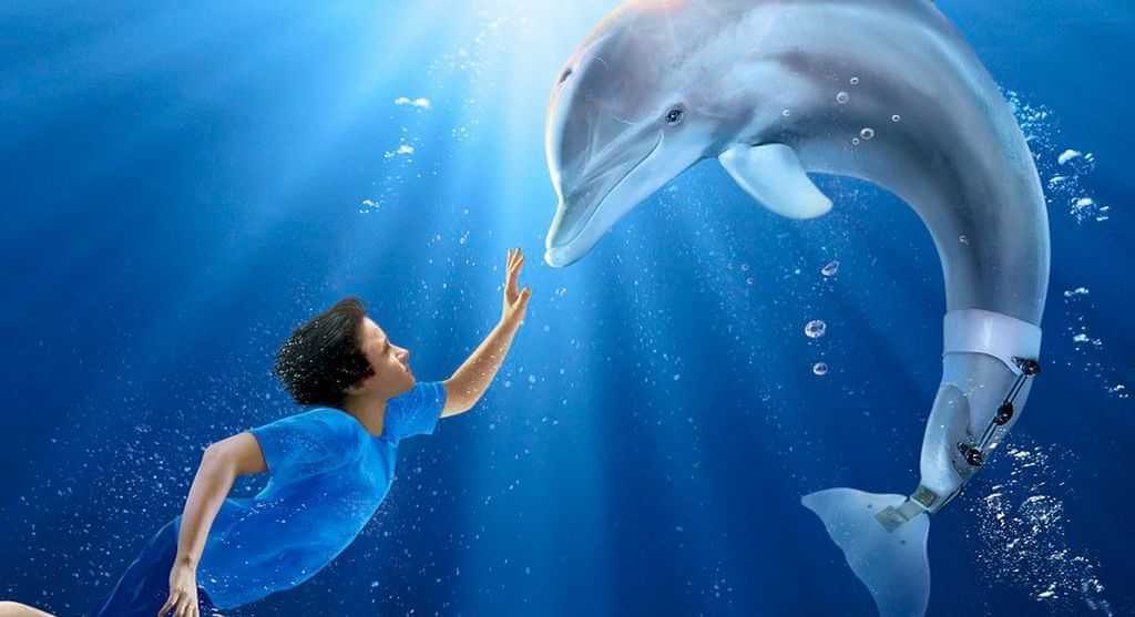 Что посмотреть: пять фильмов про китов и дельфинов, которые сделают вас ближе к океану