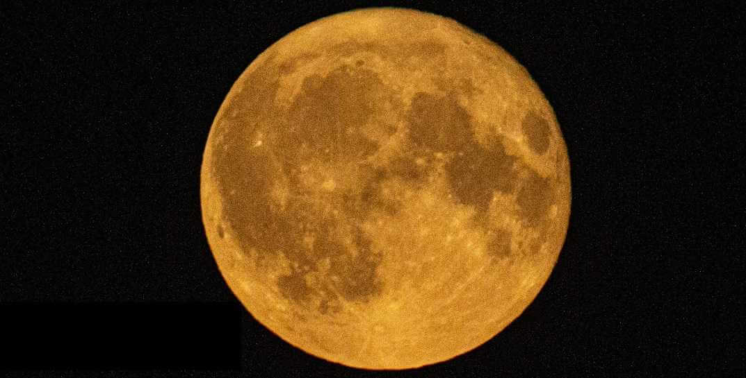 "Оленья Луна" попала в кадр могилевского фотографа