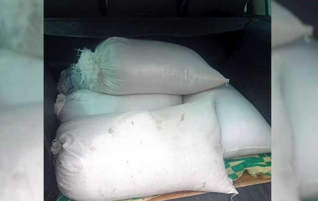 В Климовичском районе работник фермы похитил более 200 кг комбикорма