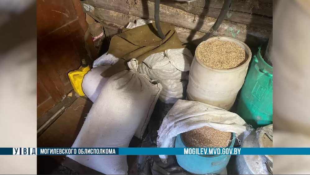В Осиповичском районе работник фермы похитил более тонны тритикале