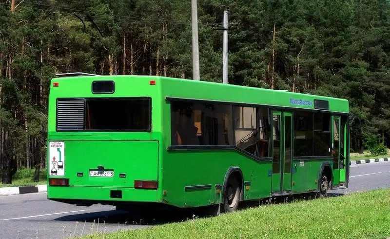 В Могилеве автобусы №3 и №15 временно изменят маршрут движения 23 августа