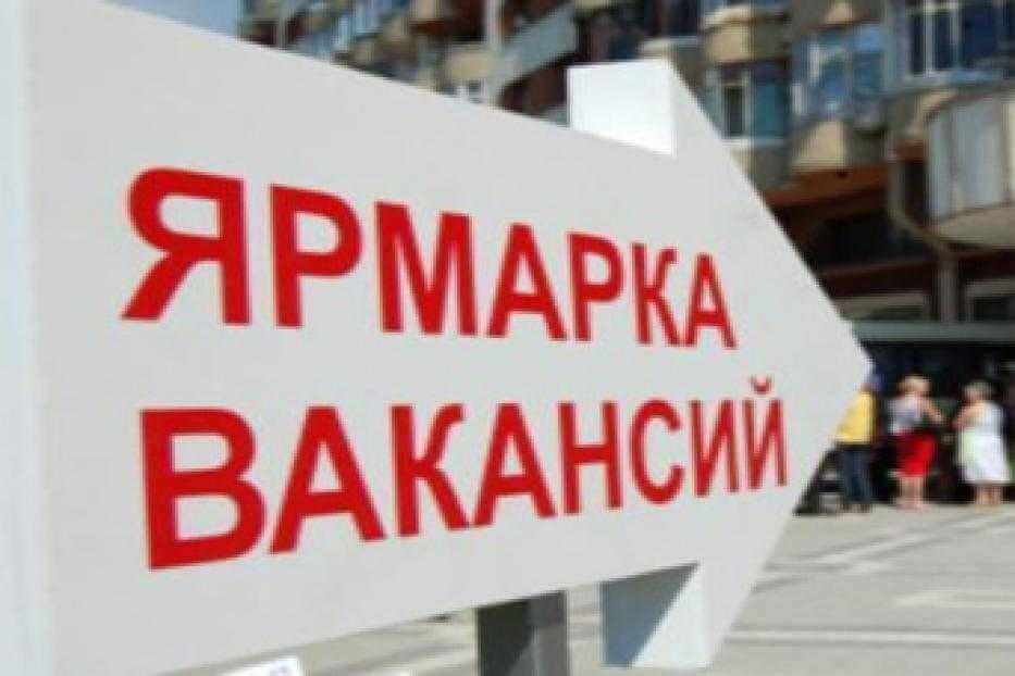 Ярмарка вакансий пройдет в Могилеве 14 сентября