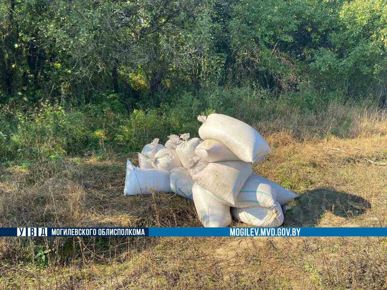 Около 400 кг. похищенной пшеницы изъято правоохранителями в Осиповичах