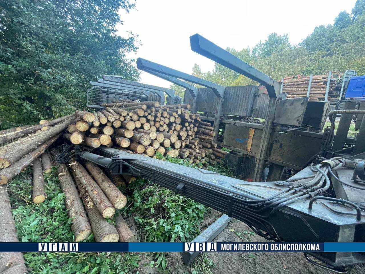 ДТП с лесовозом в Шкловском районе: древесина оказалась на дороге, частично заблокировав движение транспорта