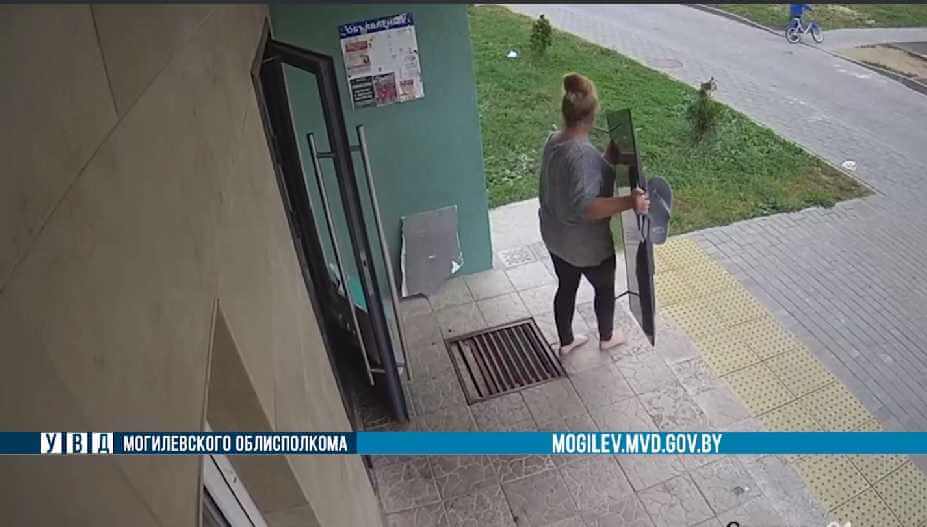 Могилевчанка унесла соседский телевизор - момент кражи попал на видео