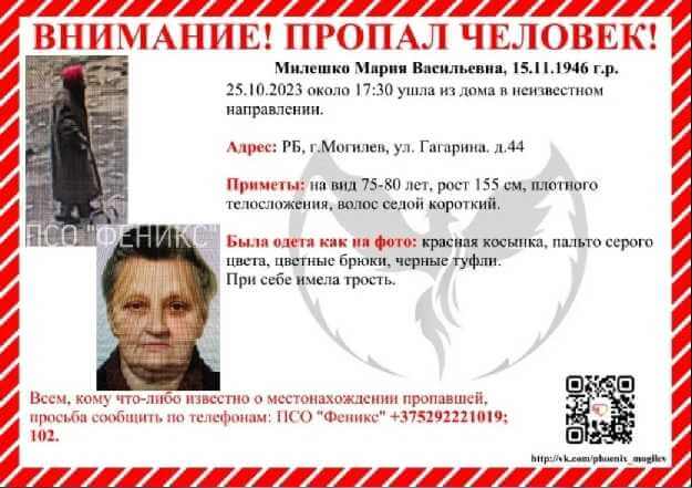 Внимание, розыск: пожилая женщина пропала в Могилеве
