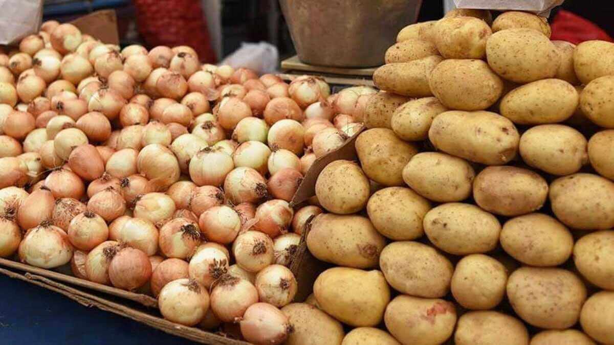 Фирма из Могилева слишком дорого продавала лук и картошку