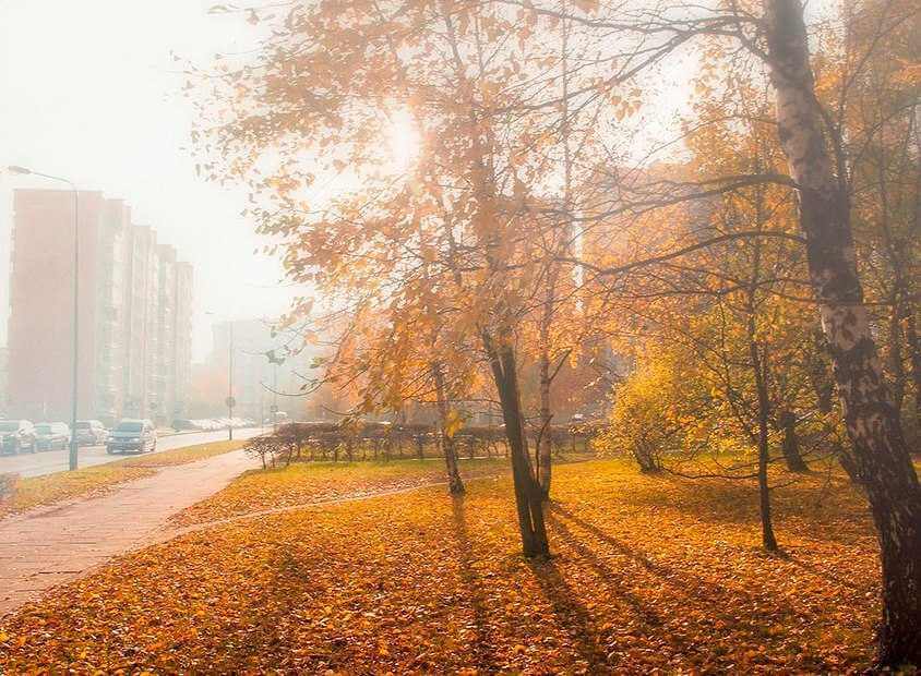 Прогноз погоды в Могилеве 4 - 5 октября: объявлен оранжевый уровень опасности