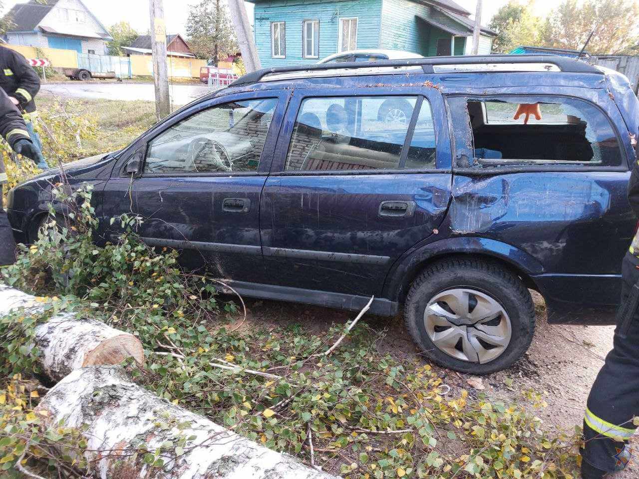 Последствия сильного ветра в Могилевской области