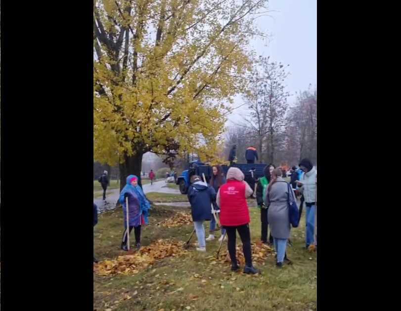 Более 1000 человек убирают сегодня листву на бульваре Непокоренных в Могилеве