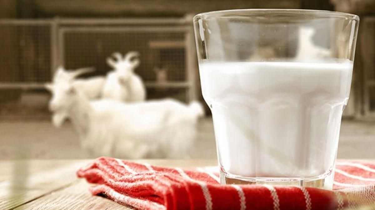 В магазинах Могилева появилось козье молоко