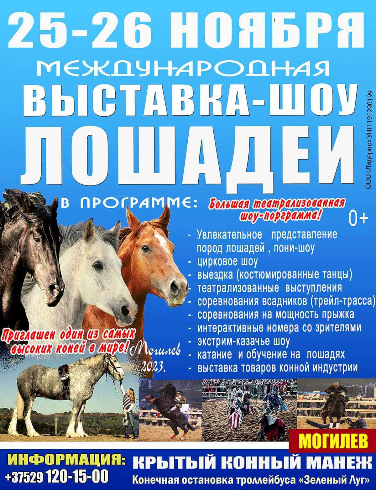 В  Могилеве пройдёт Международная выставка-шоу породистых лошадей «Осень-2023»