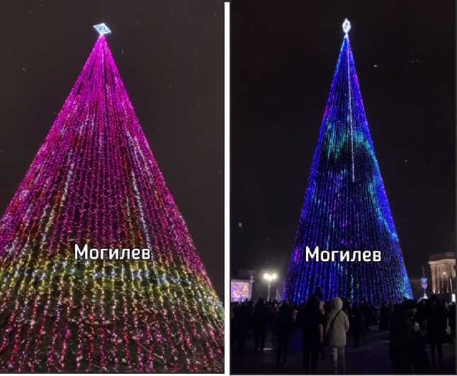 6 фото главных новогодних елок Могилева и других городов Беларуси