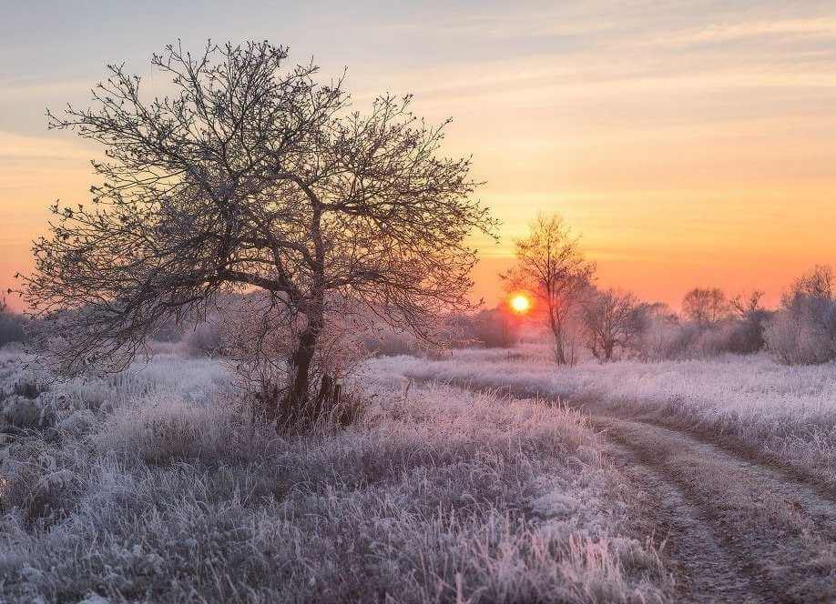 С 3 января в Беларуси серьезно похолодает - в Могилеве ожидается до −16