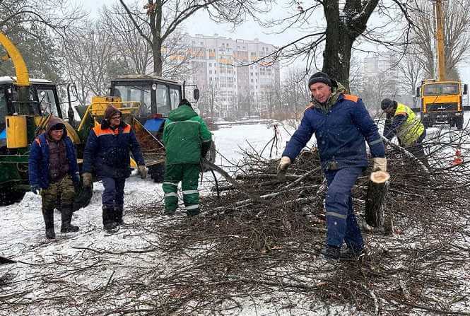 В Могилеве идет вырубка деревьев на Пушкинском проспекте