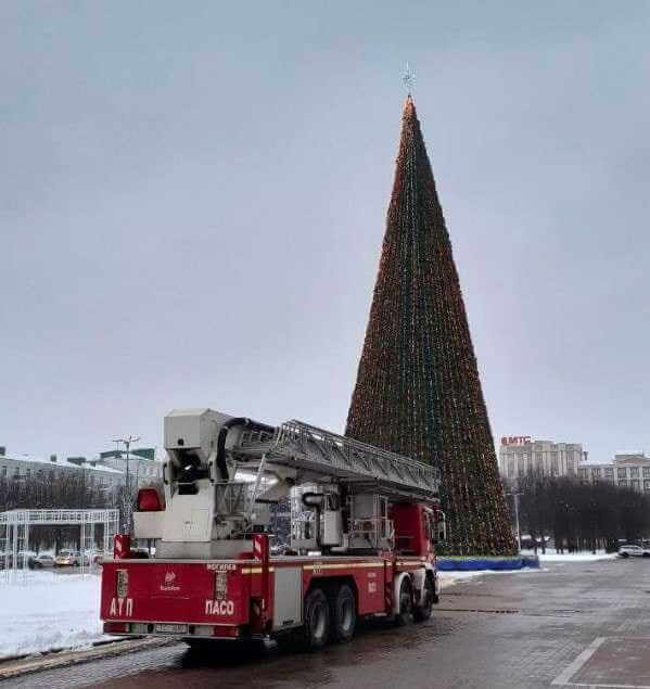 В Могилеве убрали главную новогоднюю елку: фото как это было