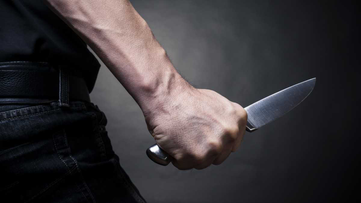 Мужчина пошел с ножом на милиционеров в Бобруйске