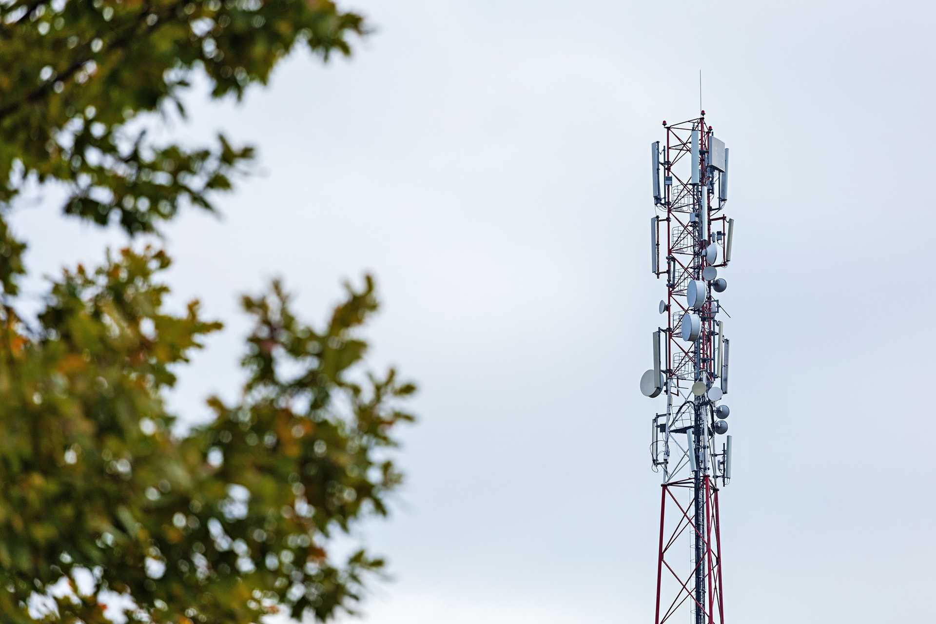 Пользователи мобильного интернета от А1 в Могилеве заметят существенные изменения: компания реализовала проект по развитию 4G-сети в городе