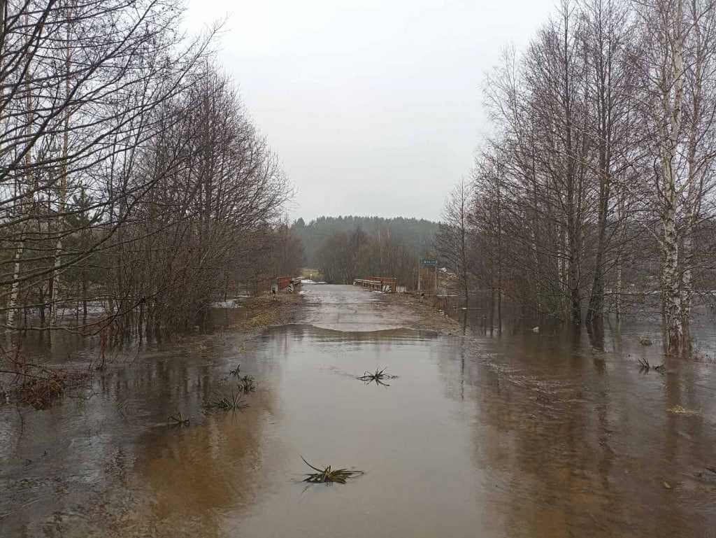 Из-за подъема уровня воды подтоплены дороги и мосты в трех районах Могилевщины