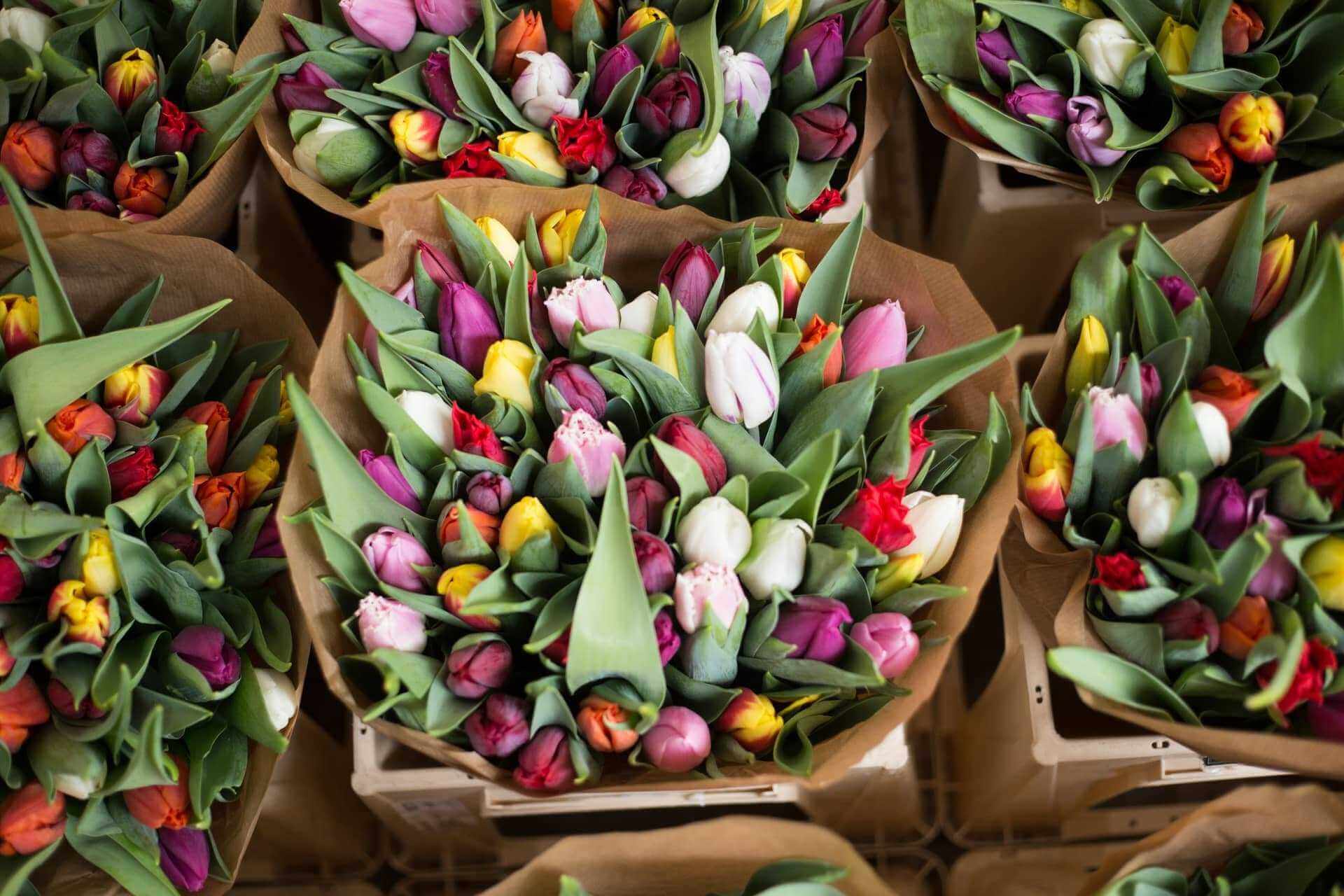 Цена на цветы в Могилеве в канун 8 марта