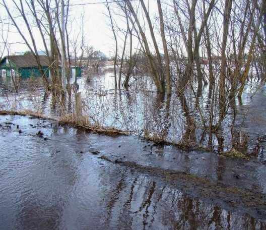 Паводок в Могилевской области может стать причиной загрязнения воды в колодцах и скважинах