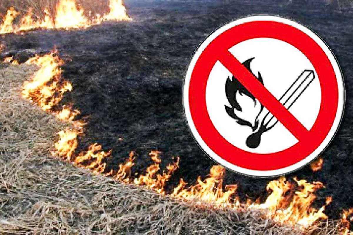 В Могилеве объявлен повсеместный запрет на выжигание сухой растительности