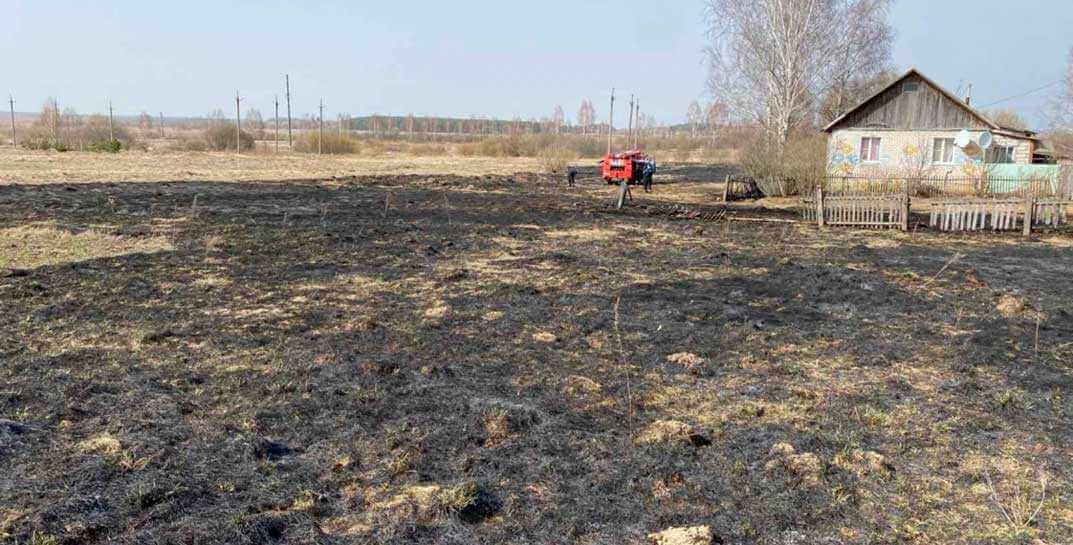 В Могилевской области две пенсионерки получили ожоги, сжигая траву: одна из женщин не выжила