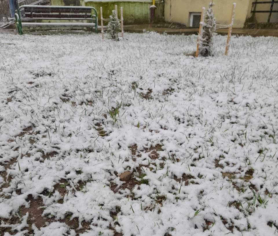 Снег в апреле выпал в Могилеве