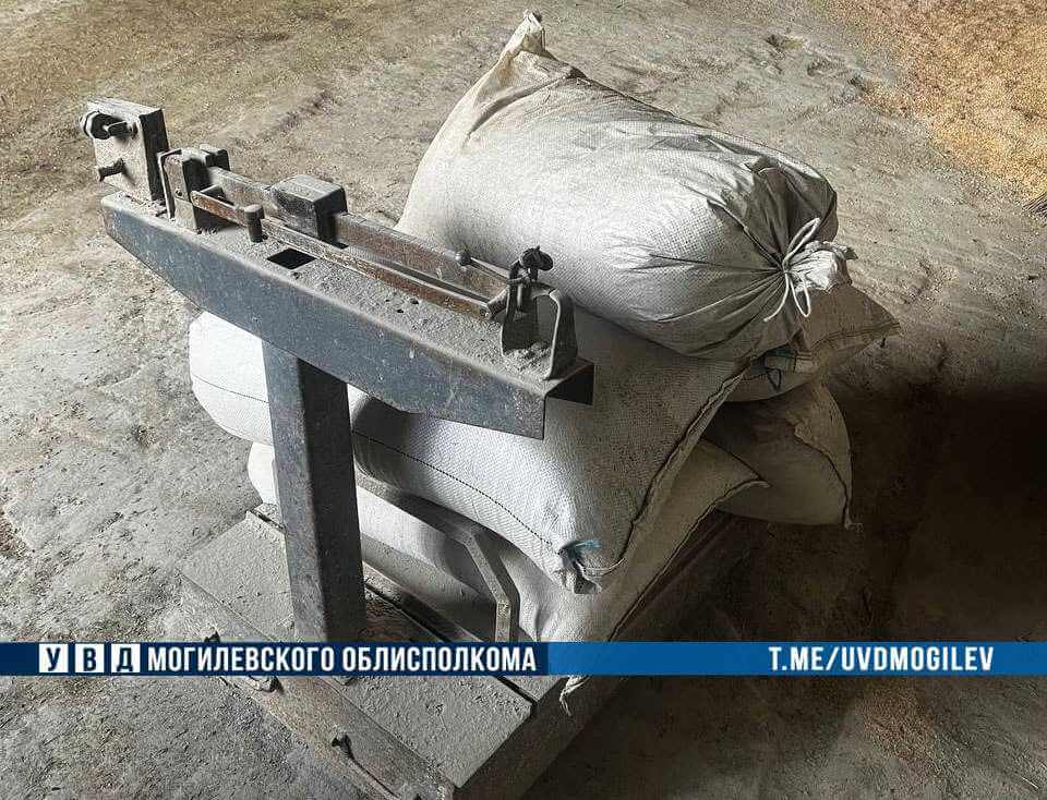 В Костюковичском районе работник похитил с предприятия более 180 кг муки