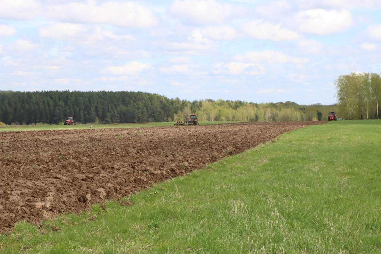 Аграрии Мстиславщины выполнили задание по севу ранних яровых зерновых на 91%