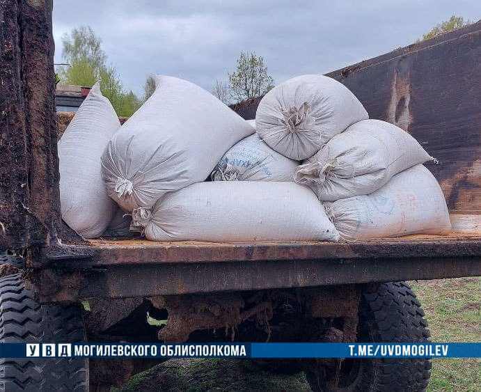 800 кг похищенного зерна изъято в Кличевском районе