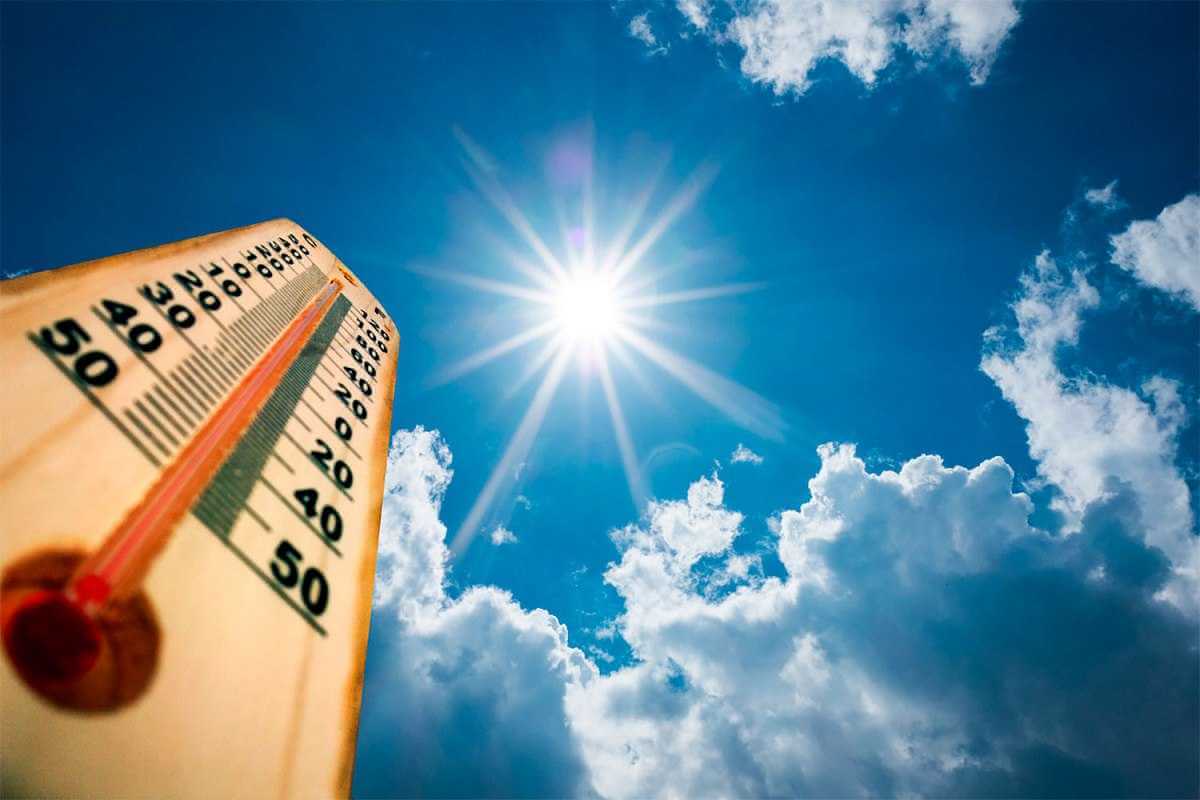 На Могилевщине снова жарко : Как избежать последствий жары?
