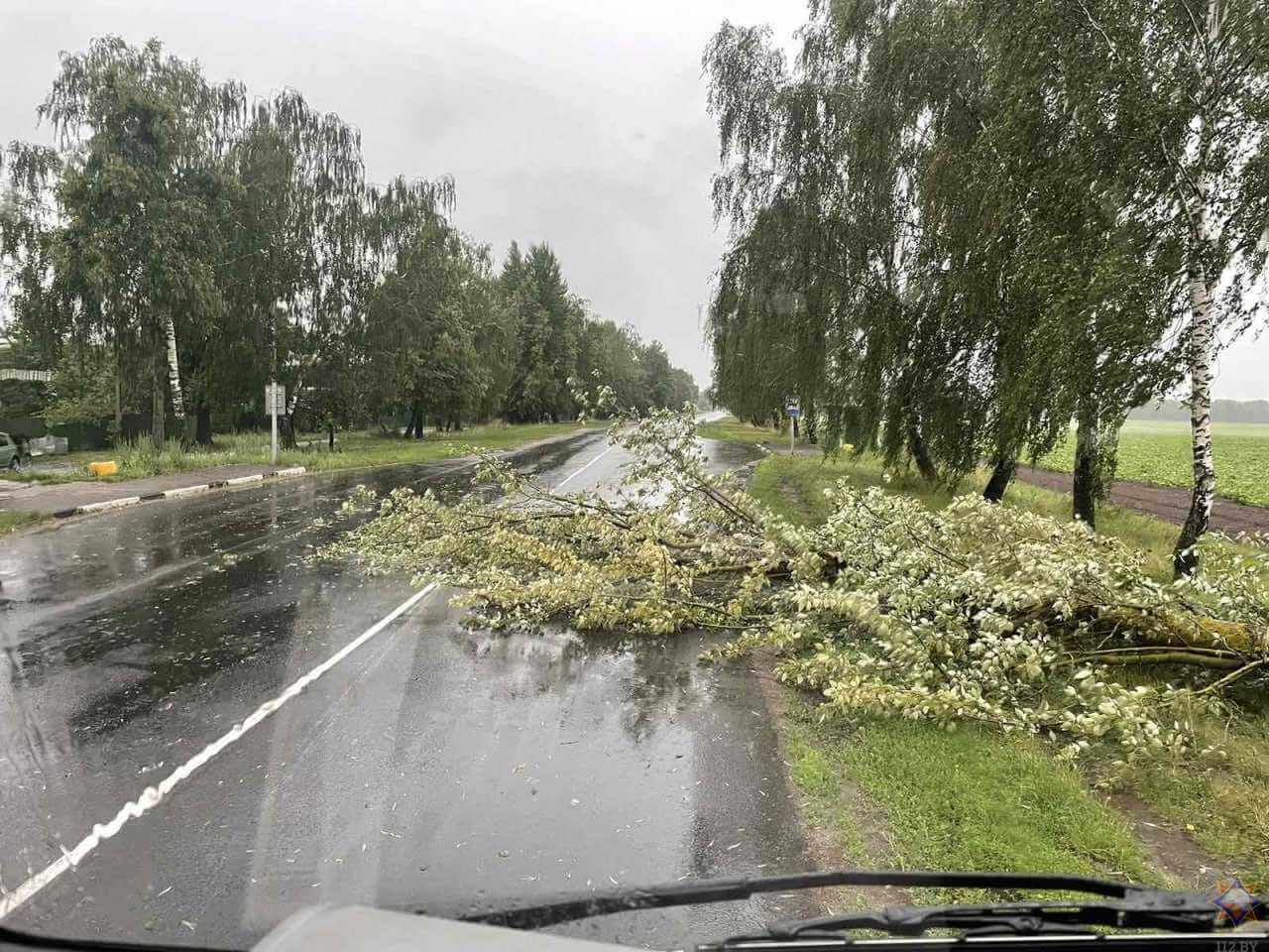 В МЧС рассказали о последствиях непогоды в Могилевской области