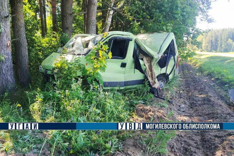 ДТП в Шкловском районе: пострадал водитель