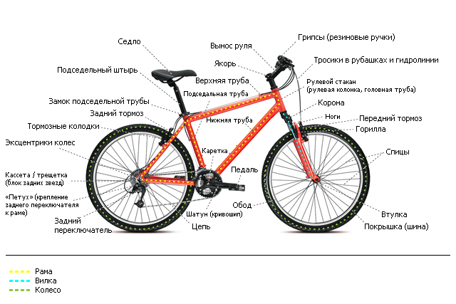 В чем особенность горного (MTB) велосипеда?