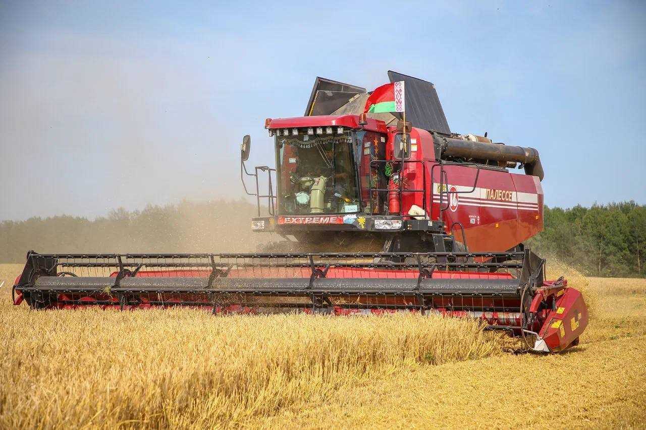 Аграриями Могилевской области по состоянию на утро 18 июля намолочено 144 033 тонны зерновых