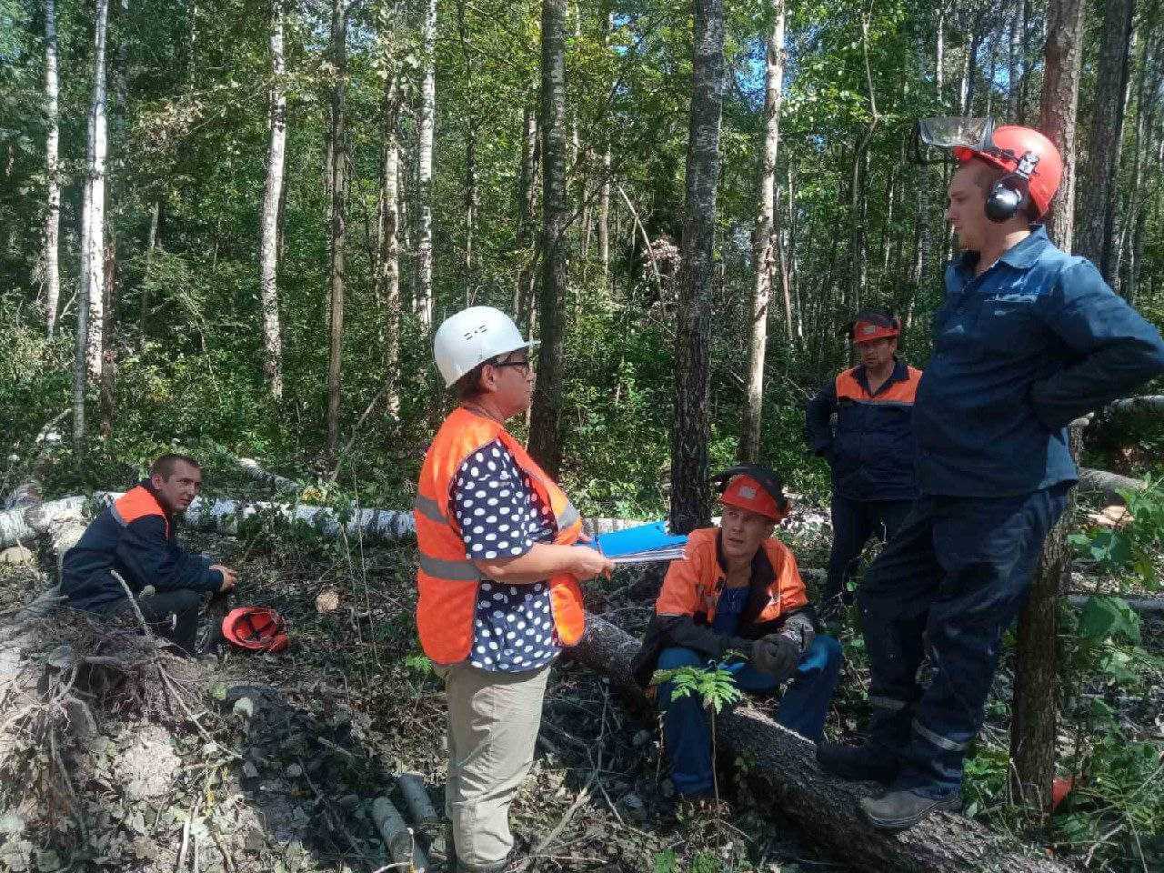Краснопольский лесхоз продолжает устранять последствия стихии