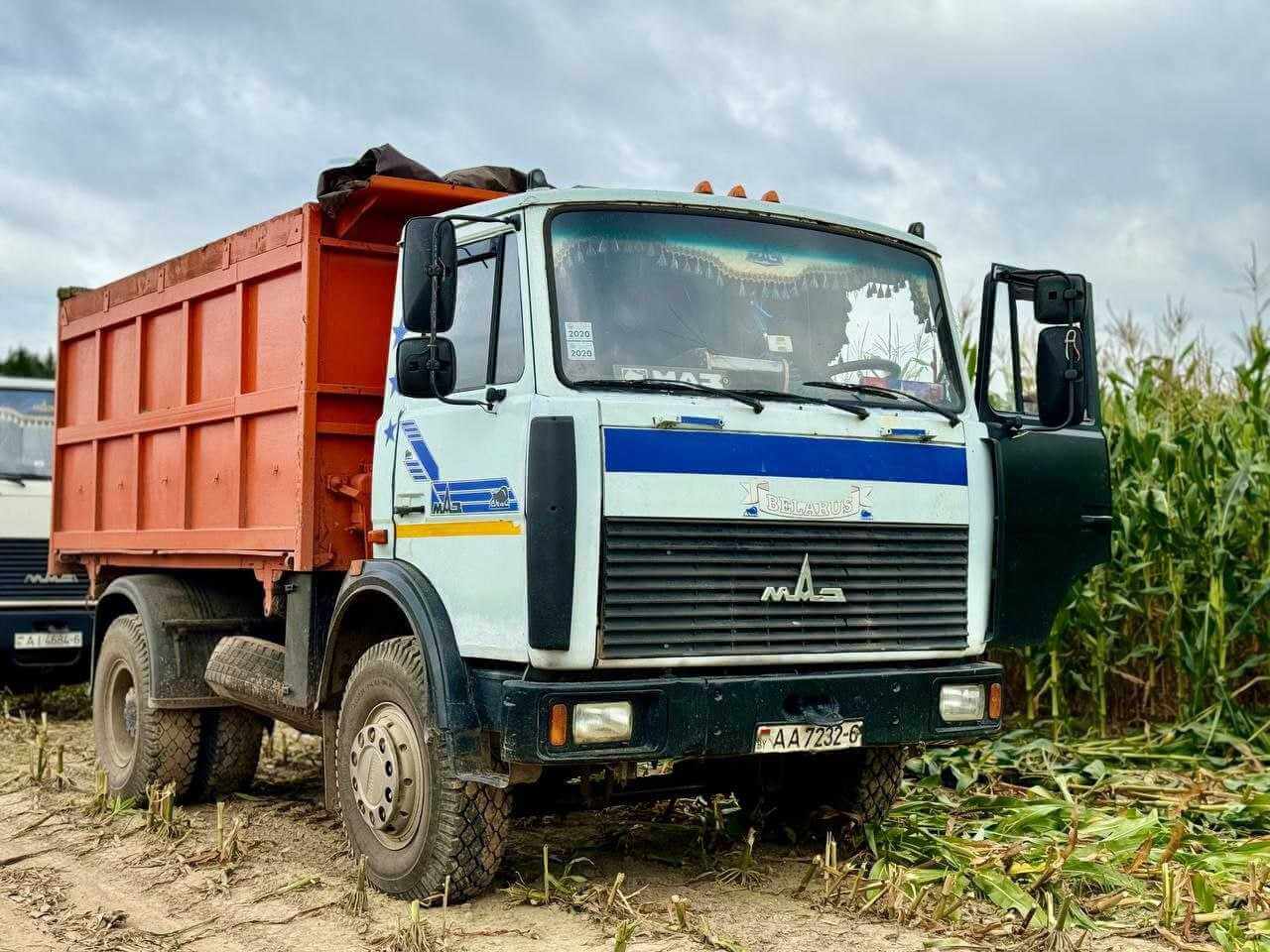 В Могилевском районе стартовала уборка кукурузы на зеленую массу