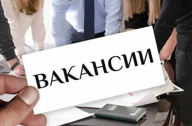 Предлагают до 5500 тысяч рублей: топ вакансий в Могилевской области