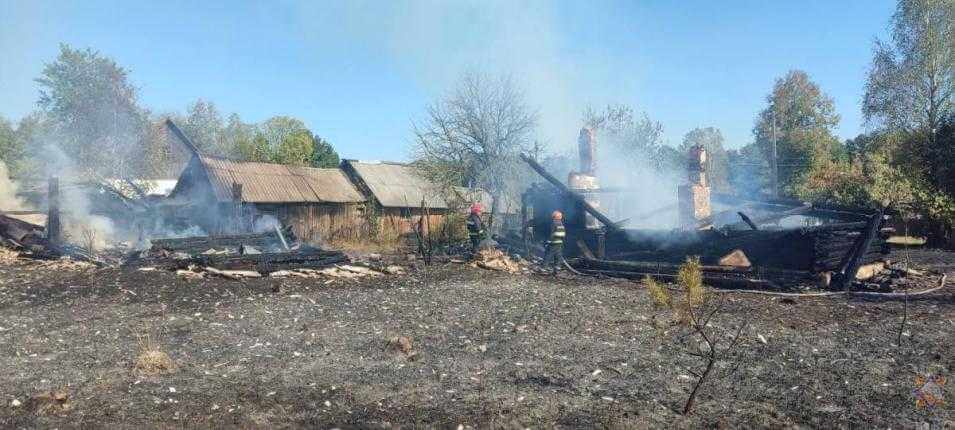 На Могилевщине пожар от сухой травы перекинулся на строения — сгорело два дома и шесть надворных построек