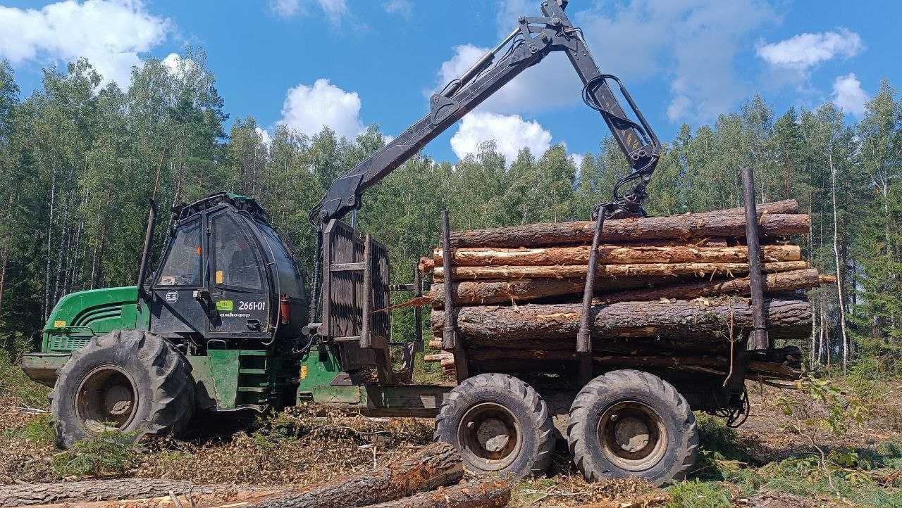 Могилевские лесхозы заготовили 400 тыс. кубометров ветровально-буреломной древесины