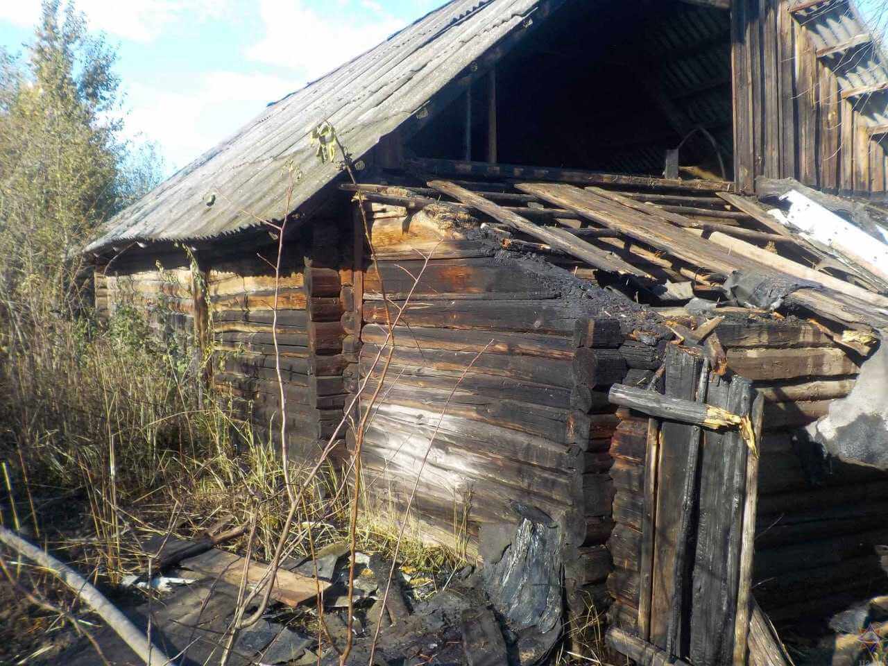 На Могилевщине сельчане сжигали мусор, но плохо потушили огонь — пламя добралось до соседей