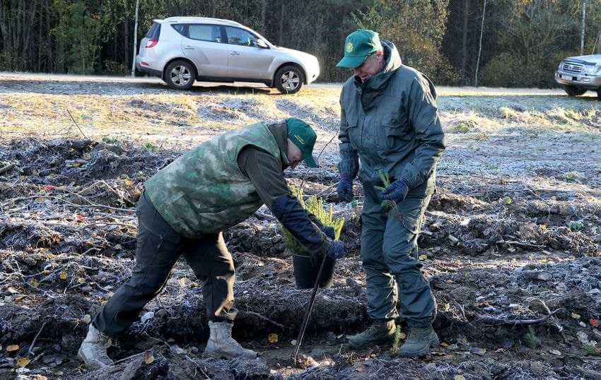 В Могилевской области высадили деревья во время акции "Дай лесу новае жыццё!"